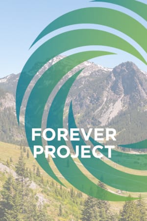 ForeverProject